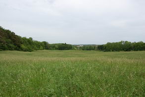 Bathurst Street Frontage, King - Country homes for sale and luxury real estate including horse farms and property in the Caledon and King City areas near Toronto